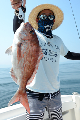 Marine T Design　マリンティ…