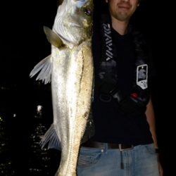 Marine T Design マリンティーデザイン 釣果