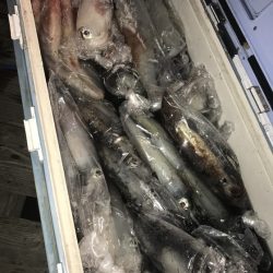 寿裕 （YOSHIHIRO） 釣果