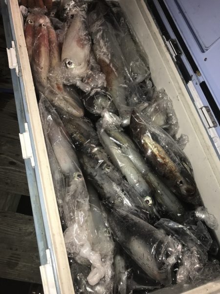 寿裕 （YOSHIHIRO） 釣果