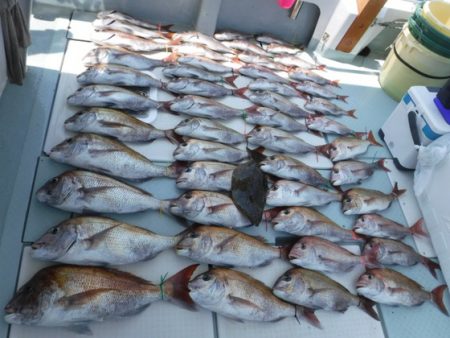 遊漁船 幸友丸 釣果