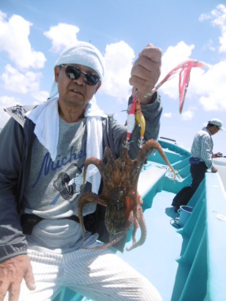 かもめ釣船 釣果