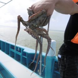 かもめ釣船 釣果