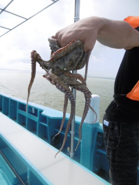 かもめ釣船 釣果