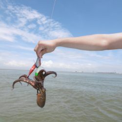 かもめ釣船 釣果