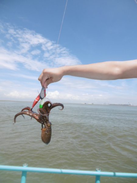かもめ釣船 釣果