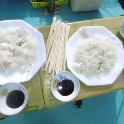 かもめ釣船 釣果