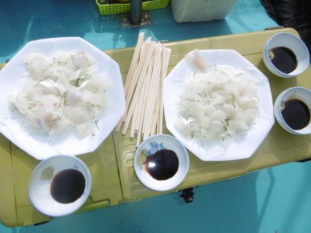 かもめ釣船 釣果
