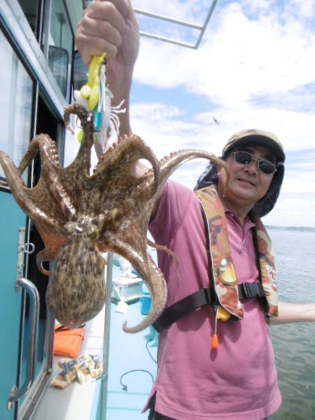 かもめ釣船 釣果