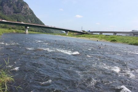 狩野川(狩野川漁業協同組合) 釣果