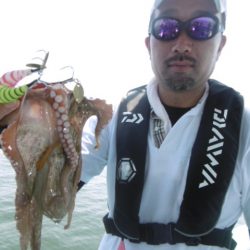 かもめ釣船 釣果