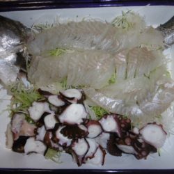 かもめ釣船 釣果