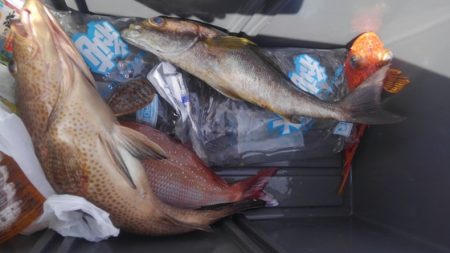 遊漁船 新鋭丸 釣果