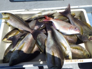 石川丸 釣果