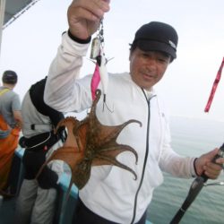 かもめ釣船 釣果
