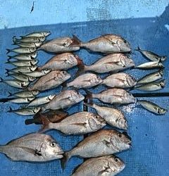 フィッシングガイド りょう 釣果