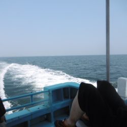 かもめ釣船 釣果