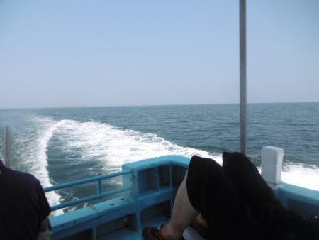 かもめ釣船 釣果