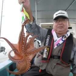 かもめ釣船 釣果