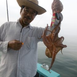 かもめ釣船 釣果