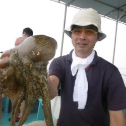 かもめ釣船 釣果