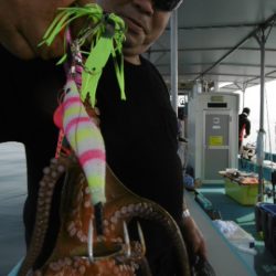 かもめ釣船 釣果