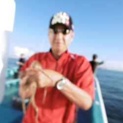 かもめ釣船 釣果