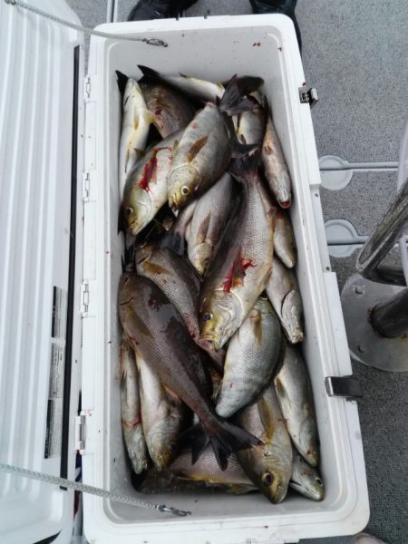 第二大福丸 釣果