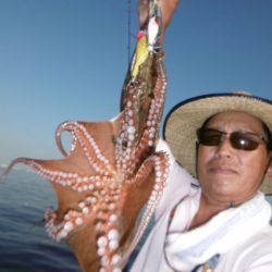 かもめ釣船 釣果