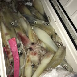 寿裕 （YOSHIHIRO） 釣果