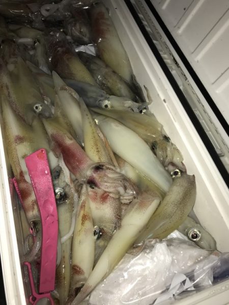 寿裕 （YOSHIHIRO） 釣果