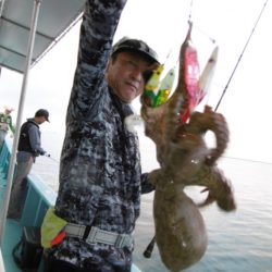 かもめ釣船 釣果