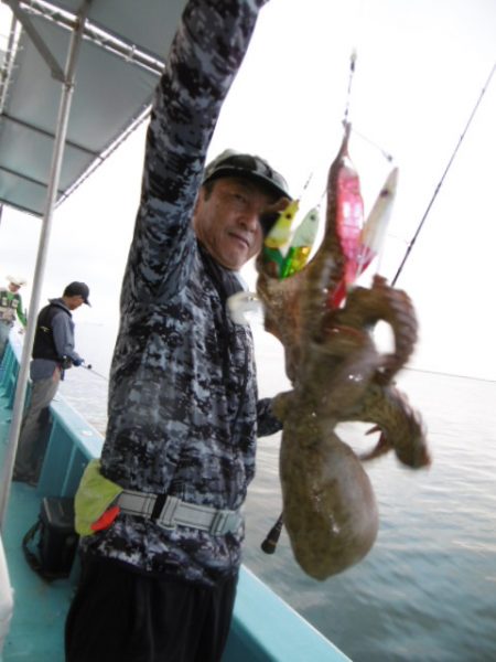 かもめ釣船 釣果