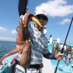 かもめ釣船 釣果