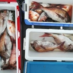 IDATEN（イダテン） 釣果