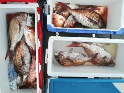 IDATEN（イダテン） 釣果