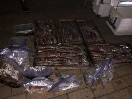 幸風（さちかぜ） 釣果