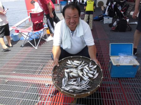尼崎市立魚つり公園 釣果