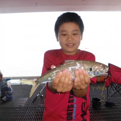 尼崎市立魚つり公園 釣果