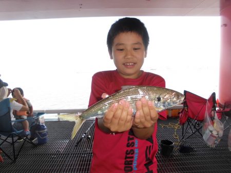 尼崎市立魚つり公園 釣果