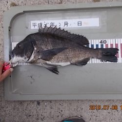 姫路市立遊魚センター 釣果