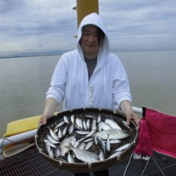 尼崎市立魚つり公園 釣果