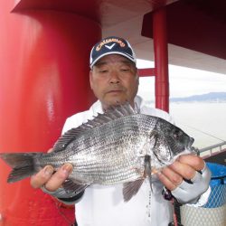尼崎市立魚つり公園 釣果