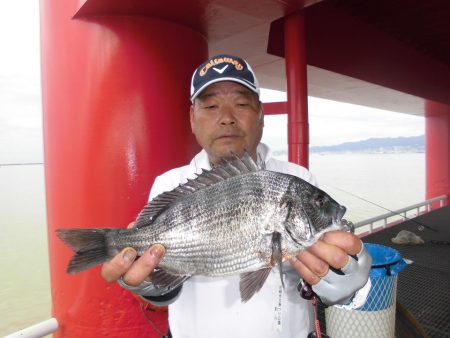 尼崎市立魚つり公園 釣果