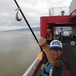 尼崎市立魚つり公園 釣果