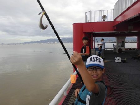 尼崎市立魚つり公園 釣果