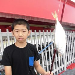 尼崎市立魚つり公園 釣果