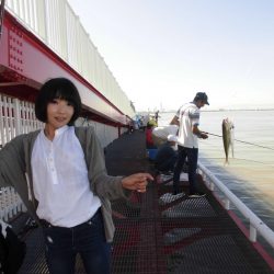 尼崎市立魚つり公園 釣果