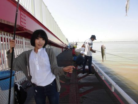 尼崎市立魚つり公園 釣果