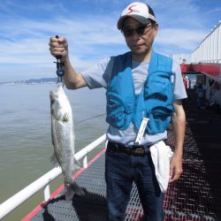 尼崎市立魚つり公園 釣果